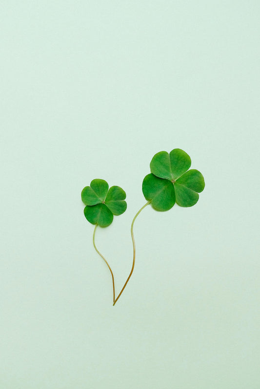 Heart Driven Luck: Four Leaf Clover
